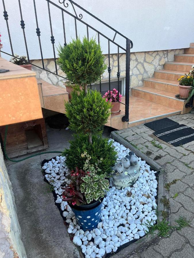 Rege Apartman Alsoors Exterior photo